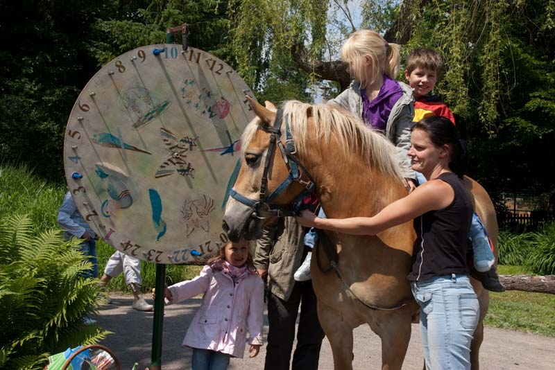 Tierparkfest