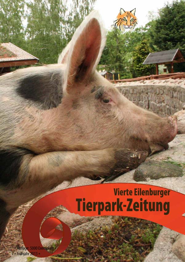 4. Zeitung