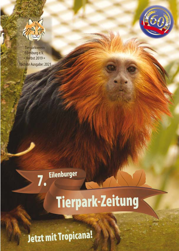 7. Zeitung